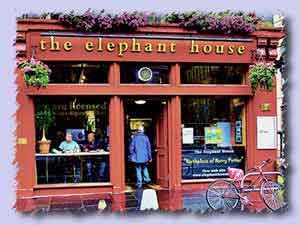 the elephant house s
