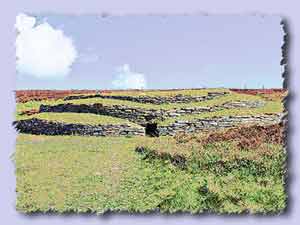 wideford hill chambered cairn s